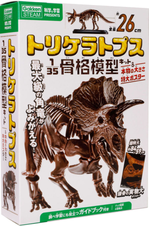 科学と学習PRESENTS『トリケラトプス1／35骨格模型キット