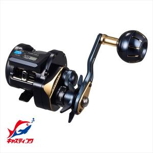 DAIWA（ダイワ） (5)ダイワ 25 ソルティガ IC 300HL-SJ-C 左ハンドル