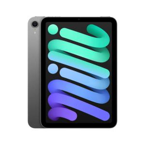 Apple iPad mini 第7世代 Wi-Fi 128GB MXN93JA パープル【お取り寄せ